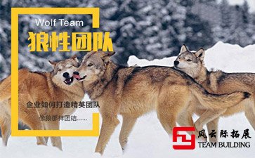 作为管理者如何激发团队凝聚力，