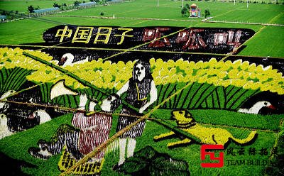 稻梦空间富锦市拓展活动