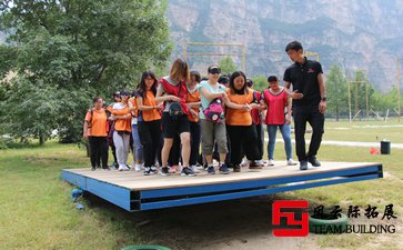 如何把团队拓展只是运用到实习中