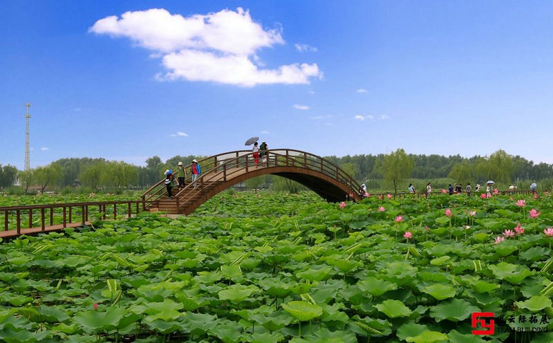 白洋淀团建