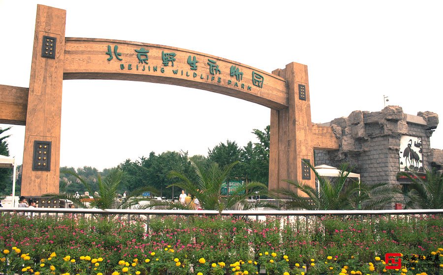 北京野生动物园拓展活动