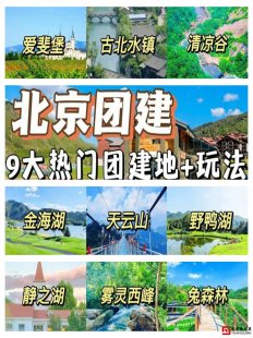 线上团建感想心得感悟500字