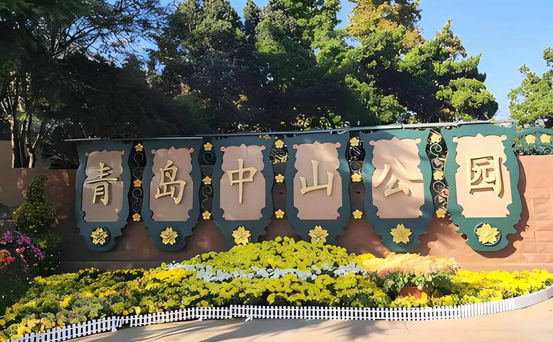 青岛中山公园团建